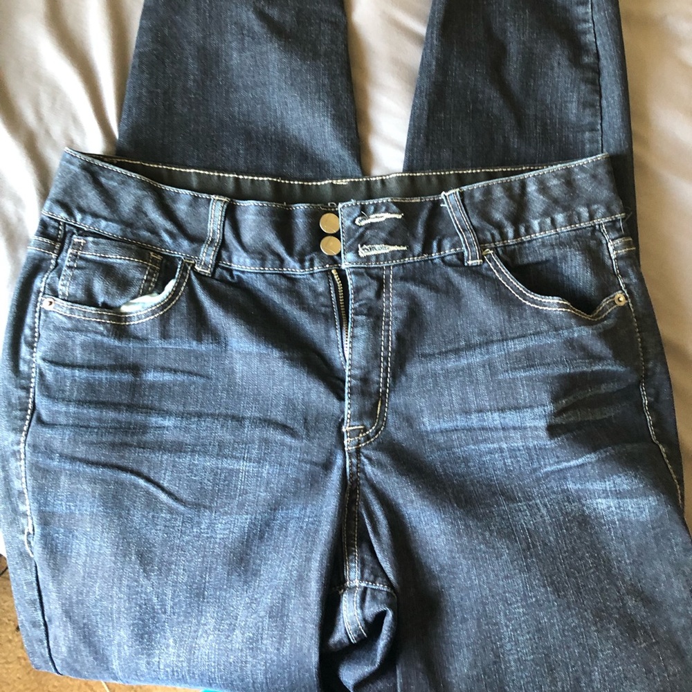 Lane Bryant Skinny Jeans